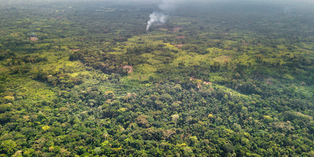 Les forêts de la RDC peuvent générer jusqu’à 398 milliards USD l'an.