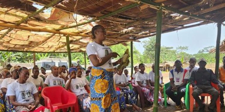 Projet agriculture paysanne sans déforestation en RDC.