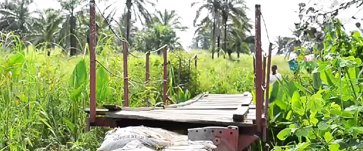Construction des ponteaux dans certaines contrées de Ngandajika.