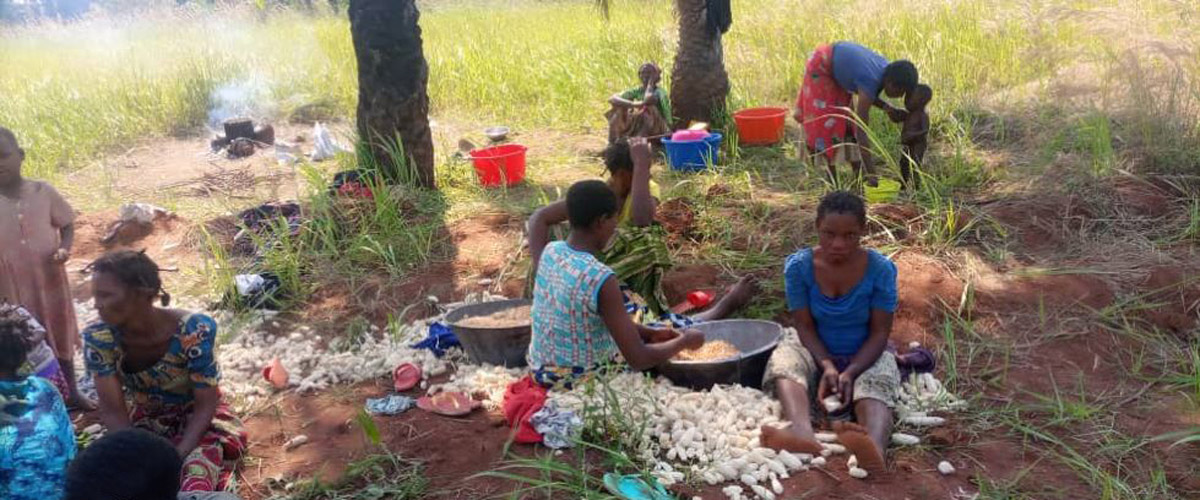 Modicité des récoltes paysannes avant l'implantation de la Ferme de Mpasu-Tshishiya.